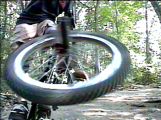 andrew11_001.jpeg
