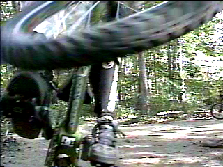 jakerollbak_000.gif