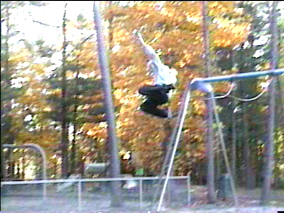 kevswings_000.jpg
